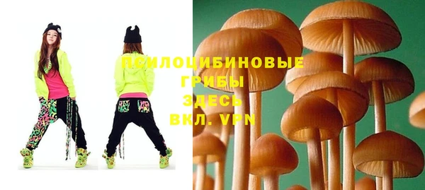 гидра Надым