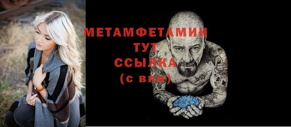 гидра Надым