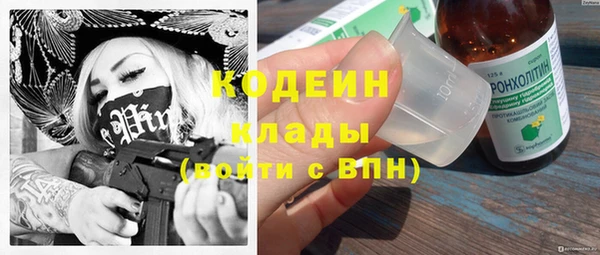 гидра Надым