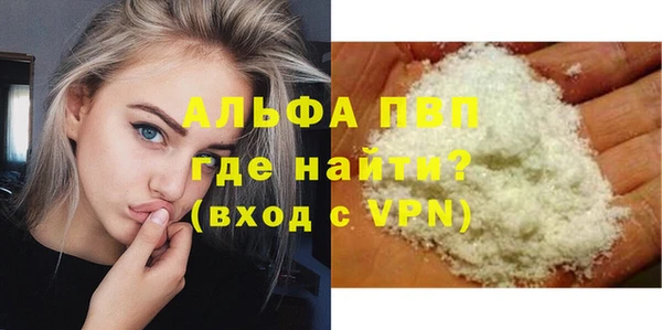 гидра Надым
