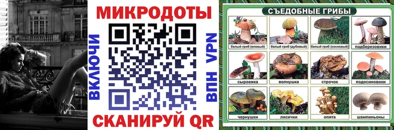 Псилоцибиновые грибы мицелий  Гурьевск 