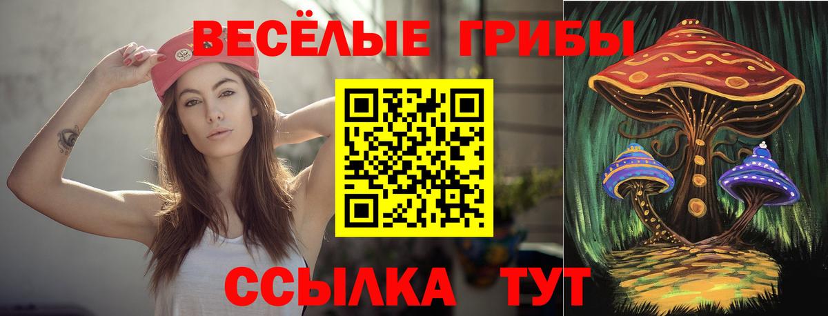 Псилоцибиновые грибы MAGIC MUSHROOMS  Вход с VPN  наркотики  Гурьевск 