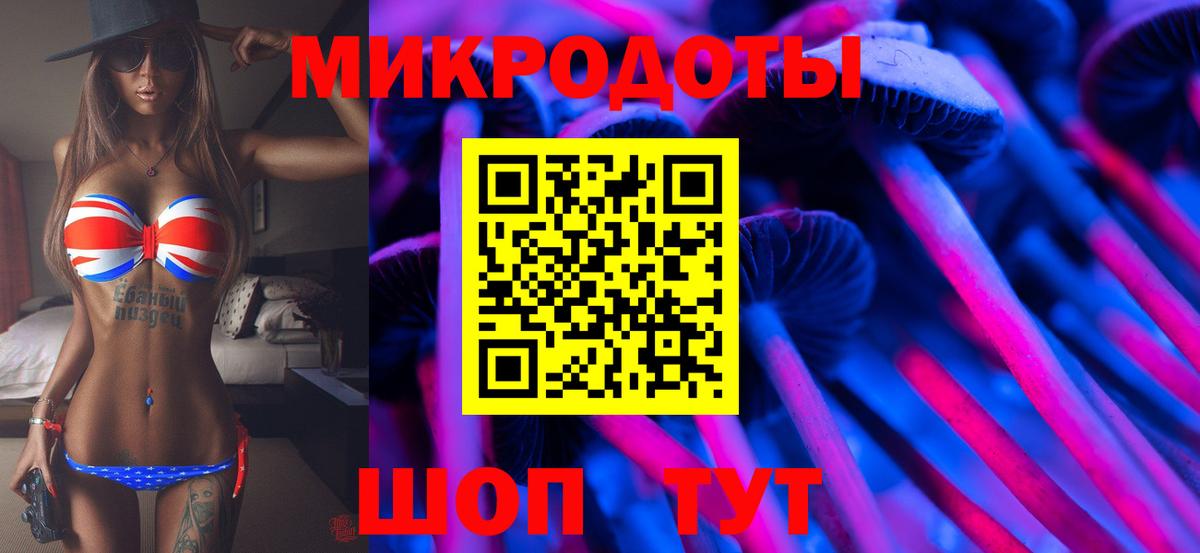 Псилоцибиновые грибы Psilocybine cubensis Гурьевск