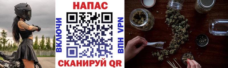 ссылка на мегу как войти Гурьевск МАРИХУАНА LSD WEED